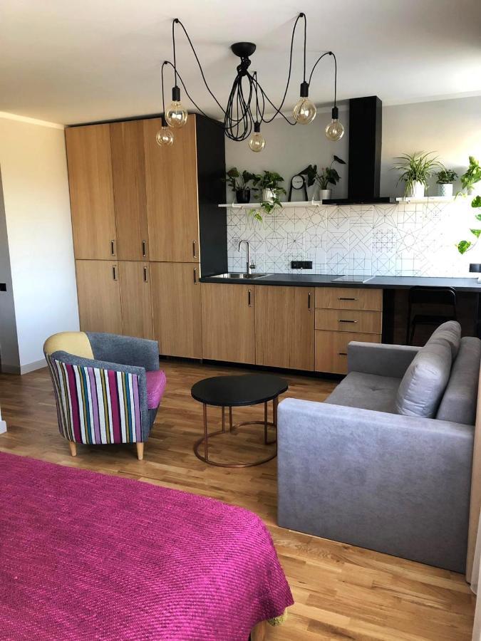 Kaktuss Apartamenti Smiltene Buitenkant foto