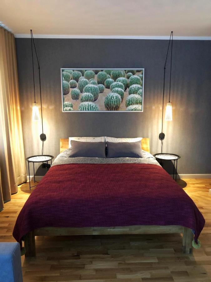 Kaktuss Apartamenti Smiltene Buitenkant foto